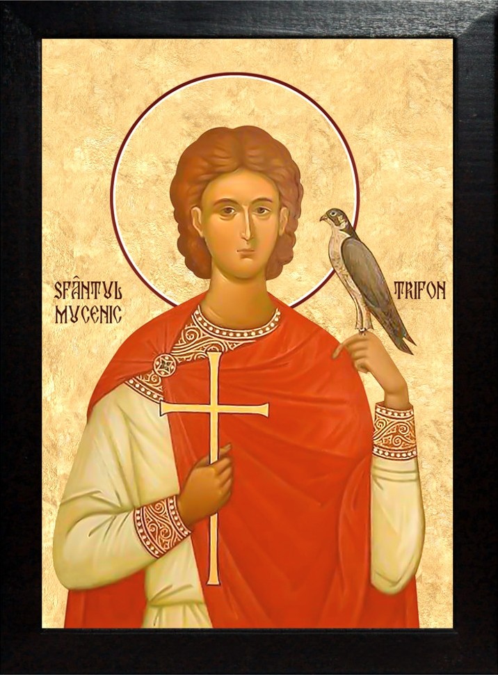 HRAM SF. TRIFON LA MĂNĂSTIREA CERNETU | ➡️ 01 Februarie 2026